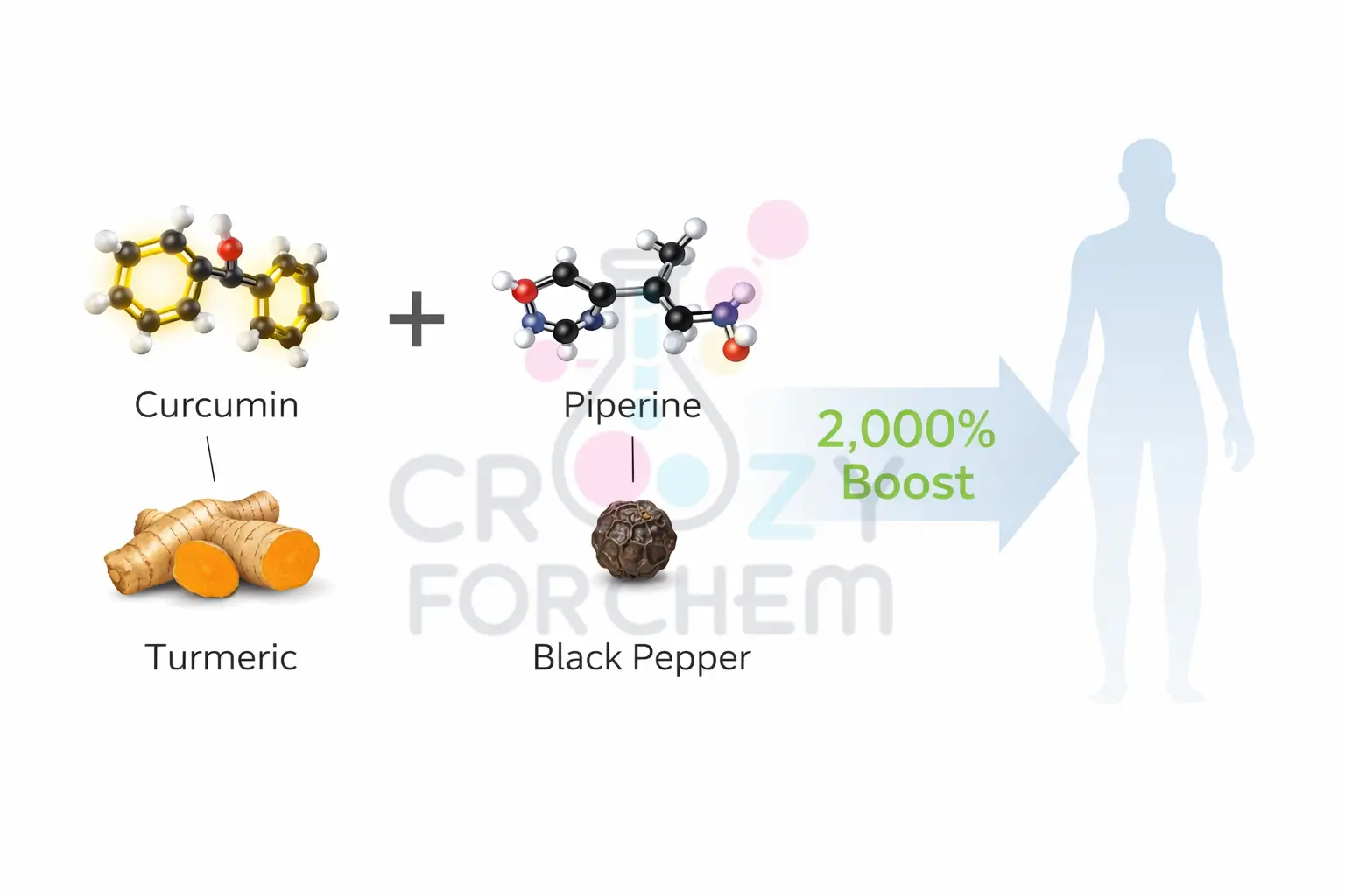 An infographic showing the chemical synergy between curcumin from turmeric and piperine from black pepper. This show's chemistry of indian spices effect.