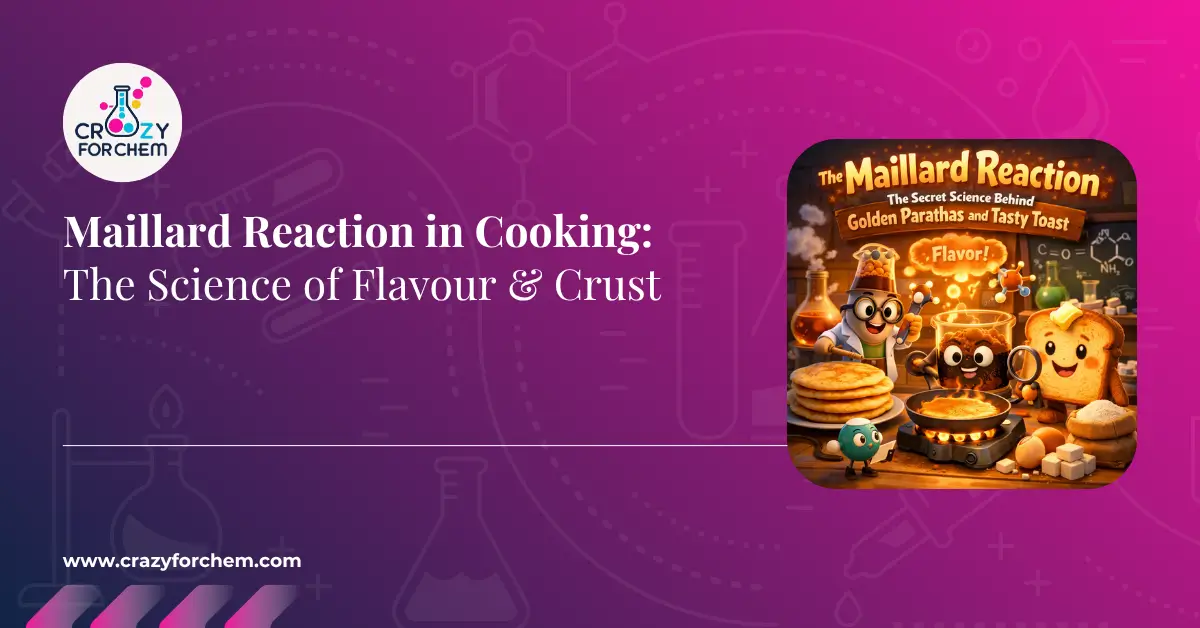 The Maillard Reaction: Why Food Turns Brown and Tasty
