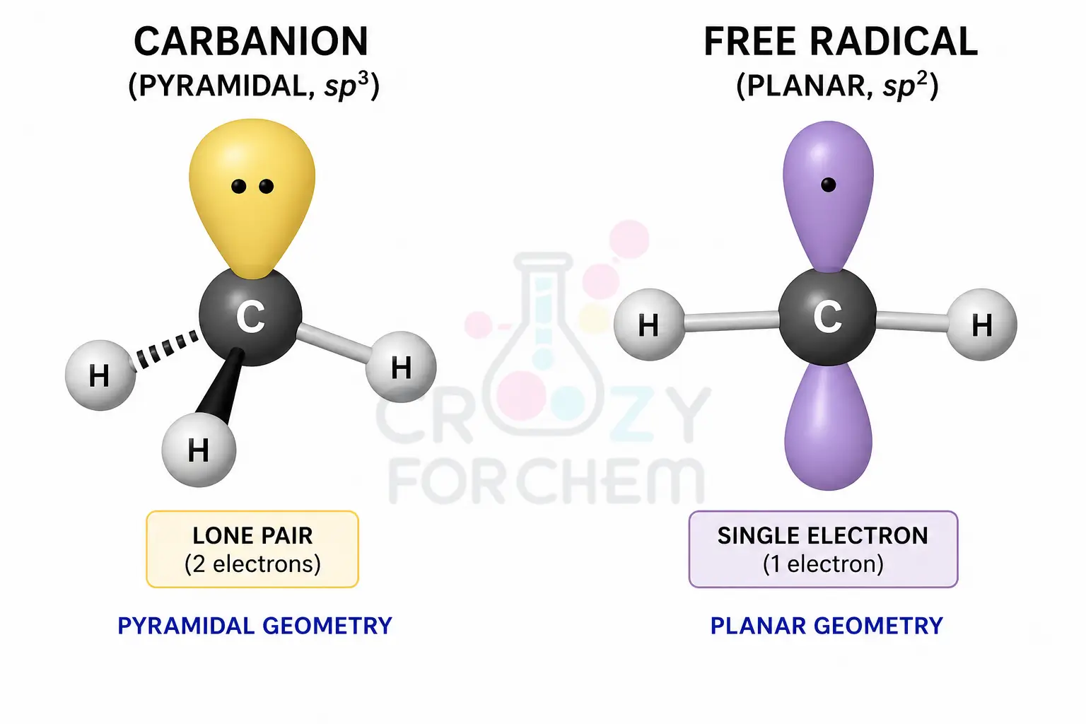 A side-by-side molecular orbital comparison. Left: A carbanion showing sp³ hybridisation and a trigonal pyramidal shape with a lone pair. Right: A free radical showing sp² hybridisation and a trigonal planar shape with an unpaired electron in a p-orbital.