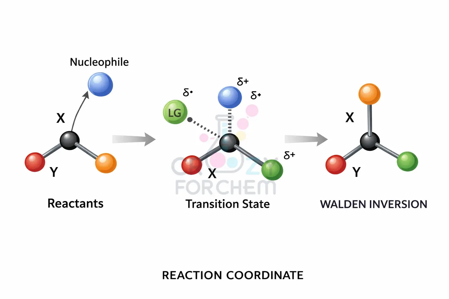 A molecular diagram showing the backside attack of a nucleophile on a chiral substrate in an SN2 reaction, leading to complete inversion of configuration (Walden Inversion).