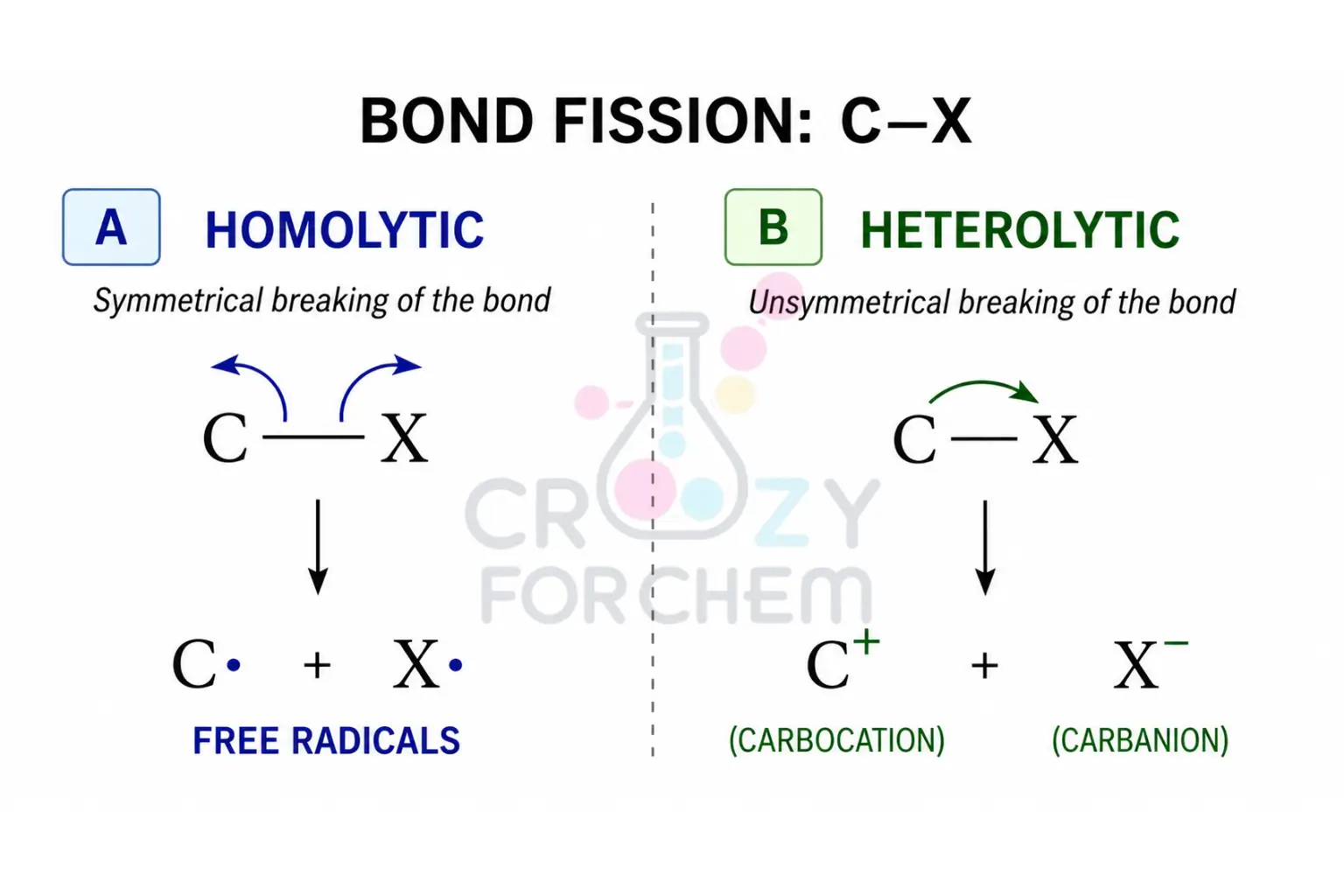 A comparative scientific diagram of bond fission. Left: Homolytic fission of a C-X bond showing fish-hook arrows and the formation of two neutral free radicals. Right: Heterolytic fission showing a full-headed arrow and the formation of a carbocation and a carbanion.