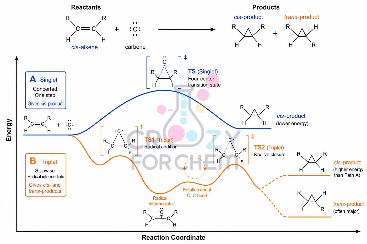 Singlet vs triplet carbene cyclopropanation mechanism diagram — carbenes and nitrenes reactivity