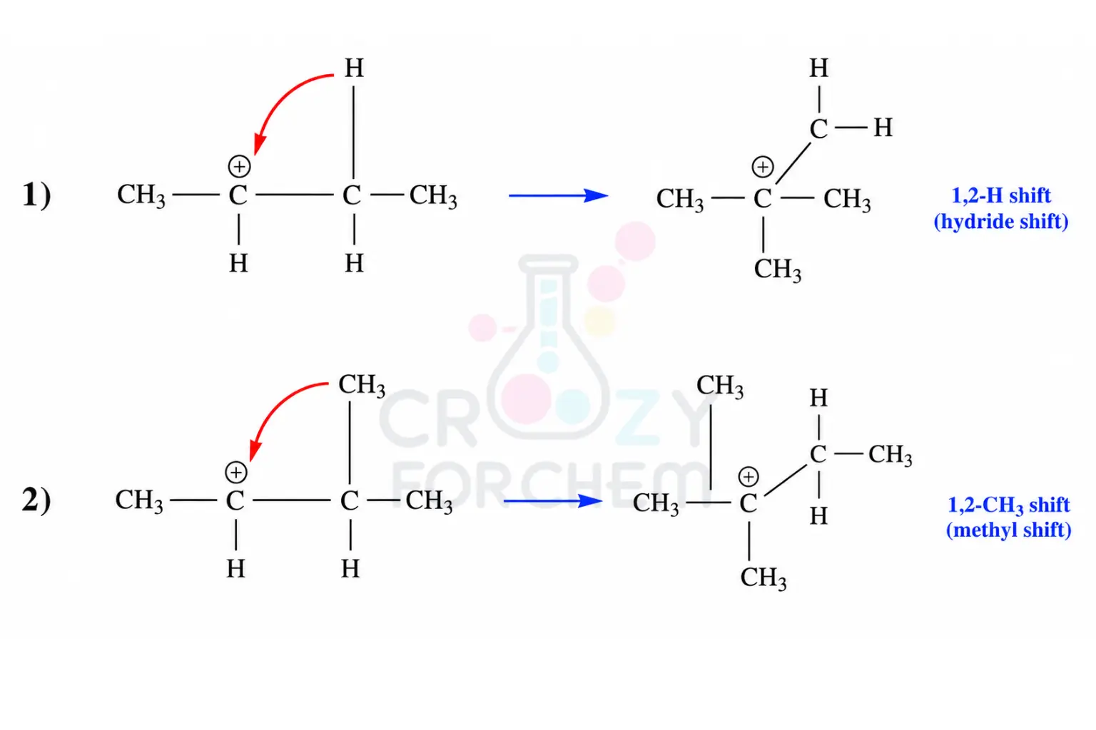 A comparative chemical mechanism diagram showing a 1,2-hydride shift on the left and a 1,2-methyl shift on the right. It illustrates the movement of the group with curly arrows and the resulting change from a secondary to a tertiary carbocation.